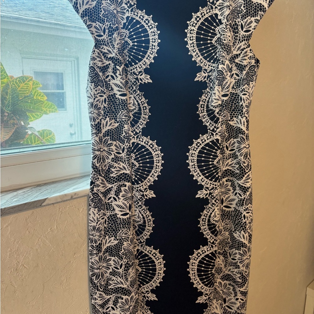 Maggy London Navy and White Lace Midi Dress